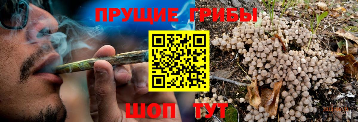 Великий Устюг  Галлюциногенные грибы мицелий  Вход с VPN 